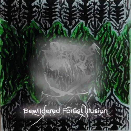 Bewildered Forest Illusion